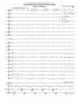 The Moon Reflected in Twin Ponds 