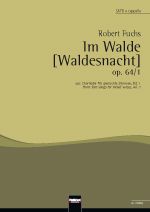 Im Walde [Waldesnacht] op. 64/1 