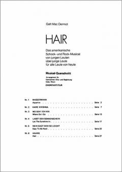 Hair (Musical-Querschnitt) 