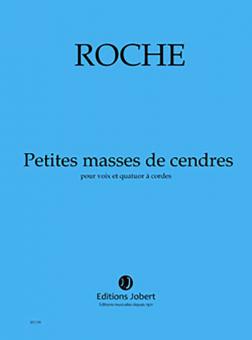 Petites masses de cendres 