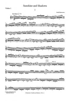 Sunshine and Shadows 