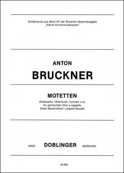 Motetten 