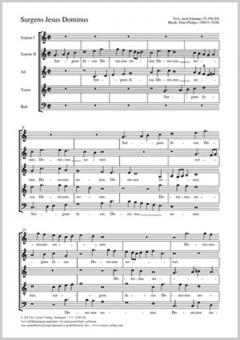 Surgens Jesus Dominus 