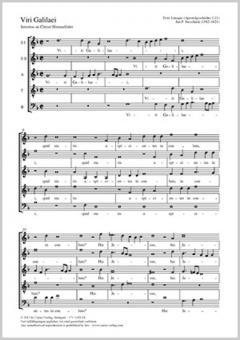 Viri Galilaei Standard