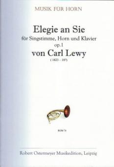 Elegie an Sie op. 1 