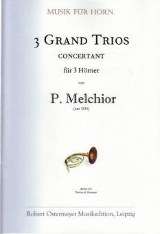 3 grand Trios concertant für 3 Hörner (um 1815) 