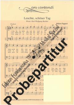 Leuchte schöner Tag 
