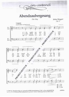 Abendzaubergesang 