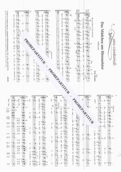 Das Mädchen am Himmelstor 