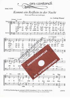 Kommt ein Reiflein in der Nacht 