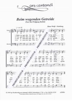 Beim wogenden Getreide 