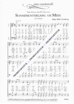 Sonnenuntergang am Meer 