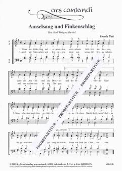 Amselsang und Finkenschlag 