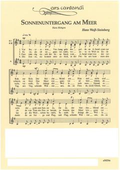 Sonnenuntergang am Meer 