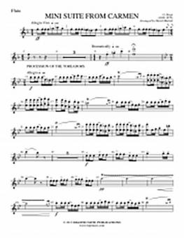 Minisuite From Carmen 