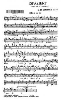 Herrreinspaziert Op. 518 