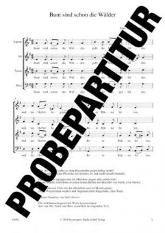 Bunt sind schon die Wälder Standard