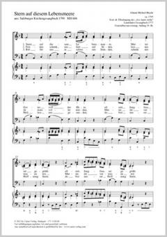 Stern auf diesem Lebensmeere MH 686 