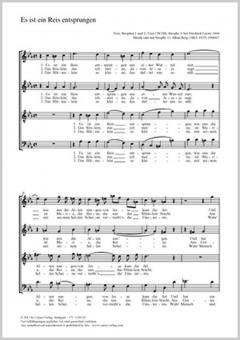 Es ist ein Reis entsprungen Standard