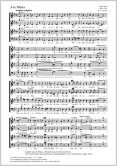 Ave Maria Standard