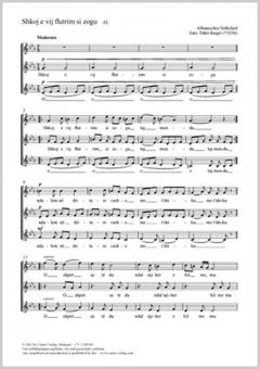 Shkoj e vij flutrim si zogu Standard