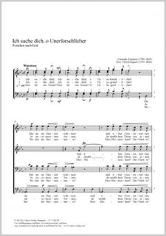 Ich suche dich, o Unerforschlicher Standard