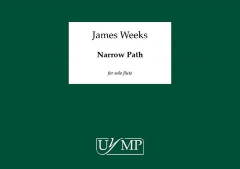 Narrow Path 