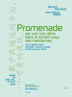 Promenade pour une Nuit câline dans le lointain Pays des Mandarines 