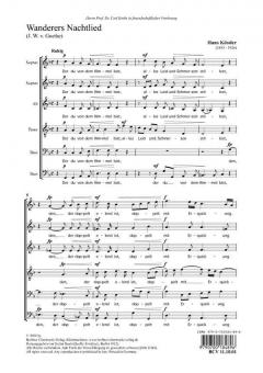 Wanderers Nachtlied 