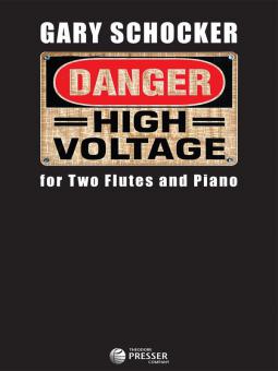 Danger: High Voltage 