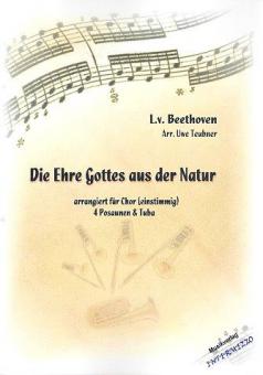 Die Ehre Gottes aus der Natur 