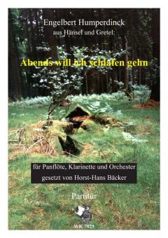 Abends will ich schlafen gehen 