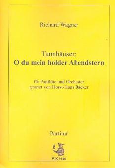 Tannhäuser: O du mein holder Abendstern 