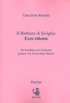 Il Barbiere di Siviglia: Ecco ridente 