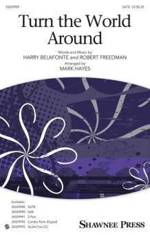 Turn The World Around 