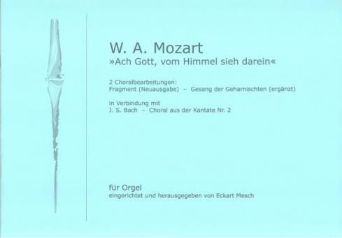 Ach Gott, vom Himmel sieh darein op. 541 