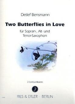 Two Butterflies in Love 