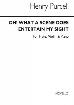 Oh What A Scene Does Entertain My Sight 