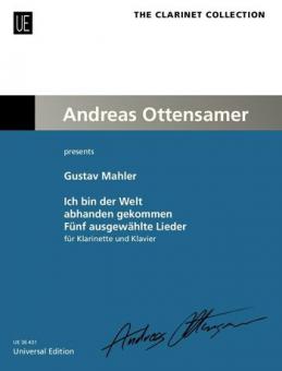 Ich bin der Welt abhanden gekommen 