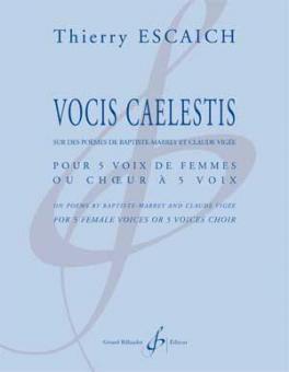 Vocis Caelestis 
