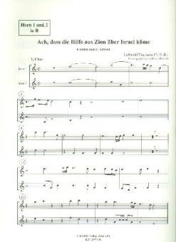 Ach, dass Hilfe aus Zion über Israel käme 