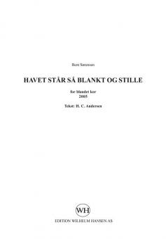 Havet Stær Sæ Blankt Og Stille 