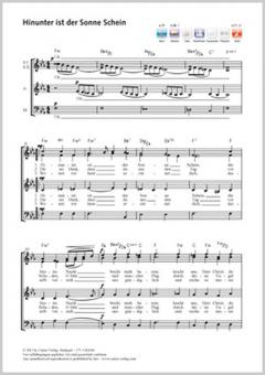 Hinunter ist der Sonne Schein Standard