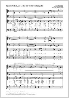 Feinsliebchen, du sollst mir nicht barfuß gehen Standard