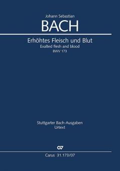Erhöhtes Fleisch und Blut 