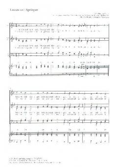 Tanzen und Springen Standard