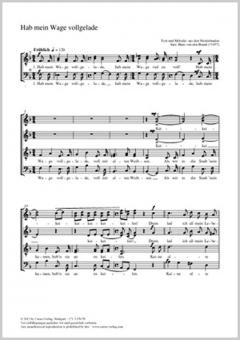 Hab mein Wage vollgelade Standard