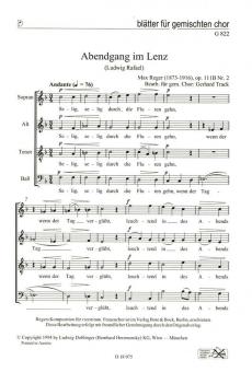 Abendgang im Lenz op. 111b/2 