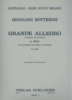Grande Allegro e-moll 