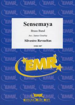 Sensemaya Download